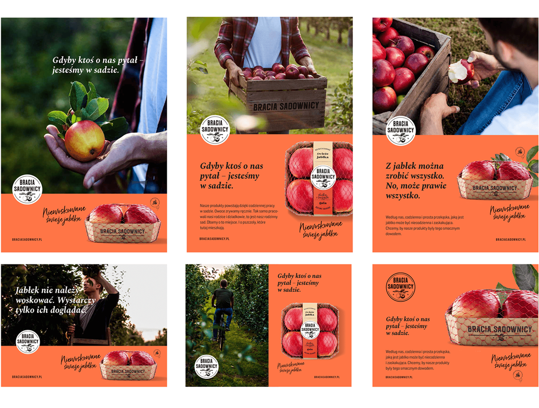 系列包裝設(shè)計